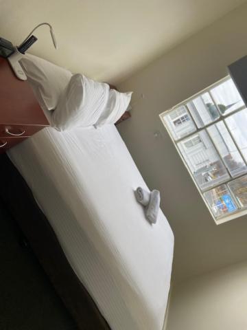 Knickerbocker Hotel Bathurst Bagian luar foto